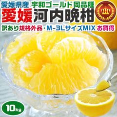 訳あり 愛媛県産 宇和ゴールド 河内晩柑 柑橘 10kg - メルカリ