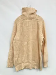 TONAL ニット/セーター 38 アイボリー ウール・ニット ナイロン 無地 ミドル丈 長袖 タートルネック/ハイネック レディースのサムネイル