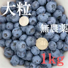 千葉県産の生ブルーベリー 1kgのサムネイル