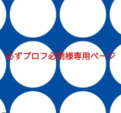 必ずプロフ必読様専用ページです。のサムネイル