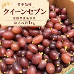 10箱限定[増量パック]クイーンセブン！粒売り　愛媛県西条市産コンパクト便箱込み1kgのサムネイル