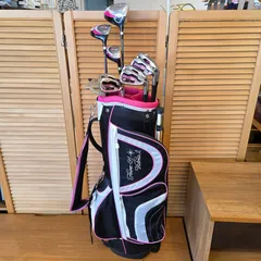 WORLD EAGLE ワールドイーグル ゴルフクラブ 10本セット FL-01V2 キャディーバッグ付き レディース 右用　◇のサムネイル