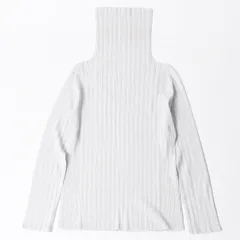 極美品 ISSEI MIYAKE イッセイミヤケ PLEATS PLEASE プリーツプリーズ ハイネック ホワイト ライトブルー 長袖シャツ 中古 4a006004のサムネイル