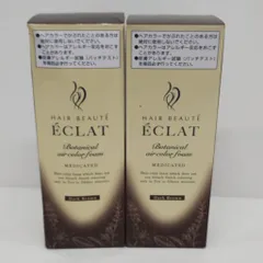 A0295 HAIR BEAUTE ECLAT ヘアボーテエクラ ボタニカル エアカラーフォーム EX ダークブラウン 80g 計2点セットのサムネイル