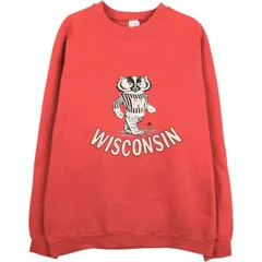 古着 80年代 ジャージーズ Jerzees WISCONSIN ウィスコンシン大学 カレッジ キャラクタースウェットシャツ トレーナー USA製/eaa665376のサムネイル
