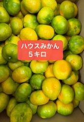 長崎県産 ハウスみかん 5kg ！2Sサイズ！甘くて美味しい - メルカリ