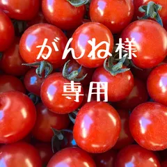 がんね様•*¨*•.¸♬︎のサムネイル