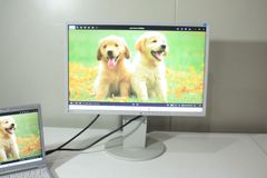 A7 Usage time 2658 hours Warranty included [EIZO] EIZO FlexScan EV2216W 22-inch widescreen LCD Resolution: 1680×1050 WSXGA+ VGA/DVI/DP 3 inputs