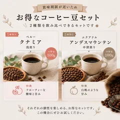 【お得セット】自家焙煎　コーヒー豆　合計200g　浅&中深　飲み比べ　豆or粉のサムネイル
