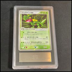 PSA10】 MバンギラスEX (RR) {043/081} [XY7/バンデットリング] [XY] 1