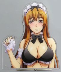 ぐらんぶる FAMくじ S賞バストアップアクリルスタンド 古手川奈々華
