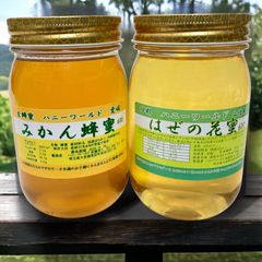 希少国産生はちみつ 特選みかん・特選菜の花 600g 2本セット 非加熱