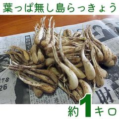専用】6月15日着 らっきょう 15kg - メルカリ