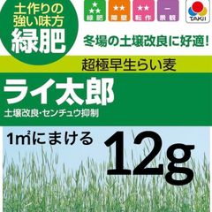 ライ麦　種　ライ麦太郎　タキイ　極早生　敷き藁　12g (1㎡に撒ける)  猛暑対策　雑草対策　防寒対策