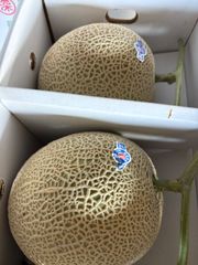 糖度19!! 「太陽の華」富良野メロン 2玉 品種：ティアラ - メルカリ
