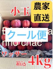 ③早生ワッサー家庭用10キロ 爆盛10kg】信州早生ワッサー 桃 家庭用 クール便 - メルカリ