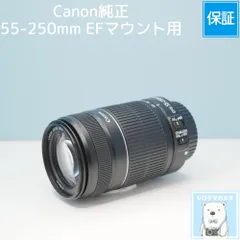Canon純正 55-250mm EFマウント用 望遠レンズ a6730のサムネイル