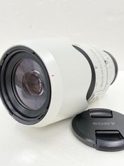 希少】中国切手 T28 徐悲鴻 奔馬 10種完 解説台紙（冊子）付き 未使用