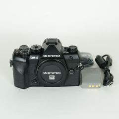 良品 | シャッター数19,637回] SONY α7S II（ILCE-7SM2） | SONY E
