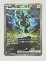 2026年最新】ゼクロムex SARの人気アイテム - メルカリ