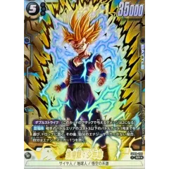 2026年最新】孫悟飯少年期 パラレルの人気アイテム - メルカリ