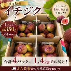 2026年最新】イチジクの人気アイテム - メルカリ