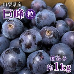 山梨県産 種無し 巨峰 粒 箱込み約1kg - メルカリ