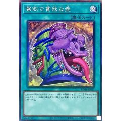遊戯王 マスターデュエル 特製コレクトファイル ミニサイズ 黒魔術の