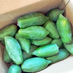 青パパイヤ 10KG 沖縄産 新品 - メルカリ