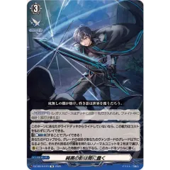 純黒の影は闇に蠢く【TD】{DZ-SS10/019}《その他》