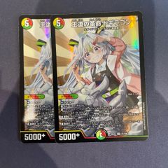炎氷渦と鎮魂禍の決断 パーフェクトヴォルテックス シークレット シク