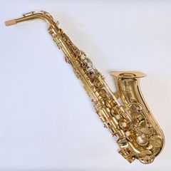 BG バリトンサックス用スワブ A30SB マイクロファイバー製 - メルカリ