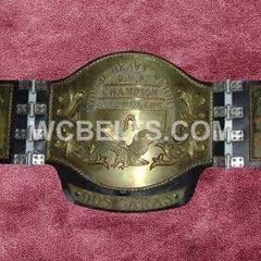 WWE ビッグゴールド 世界ヘビー級チャンピオン レプリカベルト - メルカリ