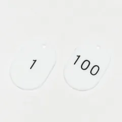 ds-番号小判札 小判札453-W(1～100) カラー：ホワイト 〔100枚1組〕のサムネイル