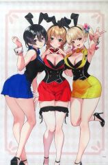 未使用未開封 バニーガーデン へべれけばにーがーでん 花奈 ラバー