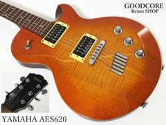 Aria Pro II アリアプロ2 VMB-2001 The Ventures ベンチャーズ 40th
