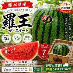 和歌山県産 スイカ 羅皇 ザ・スウィート 約5kg 大玉 1玉 ご家庭用