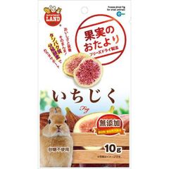 ds-（まとめ）マルカン 果実のおたより いちじく 10g ウサギフード 〔×5セット〕
