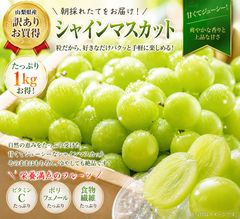 摘果マンゴー7kg - メルカリ