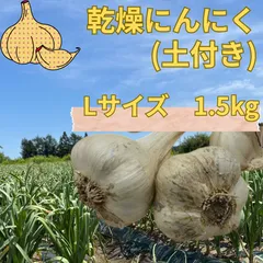 2026年最新】ニンニク 青森 5kgの人気アイテム - メルカリ