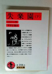 ヒーリングエンジェルシンボル 天使の世界へ繋がる49個の鍵 Healing