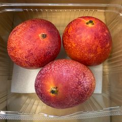 訳あり】宮崎完熟マンゴー 11玉 約5kg - メルカリ
