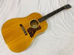 DOVEダヴモデル Burny BD-85 バーニー フェルナンデス 百瀬さん DOVEダヴモデル Burny BD-85 バーニー フェルナンデス 百瀬さん - メルカリ