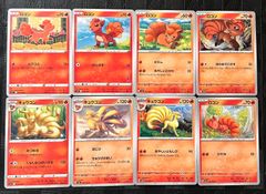 포켓몬 カードロコン キュウコン 묶음 판매
