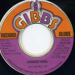 スーパーギャルズメモリー」LPレコード（中古・1983年） - メルカリ