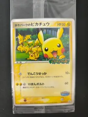 ポケパークのピカチュウのサムネイル
