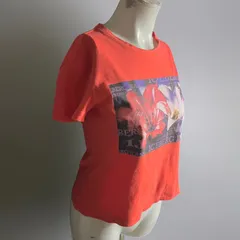 イタリア製 ヴィンテージ 90s ICEBERG Tシャツ 半袖 フラワー フォトプリント コットン レッド 古着 ヨーロッパ vintage 希少 レア I380のサムネイル