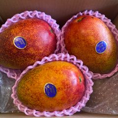 訳あり超特大5L】宮崎完熟マンゴー6玉(約3.4kg) - メルカリ