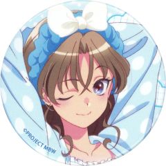 中古】キャラカード メガタブンネのポンチョを着たピカチュウ 名刺