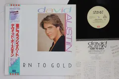 LP David Austin Turn To Gold EMS50146 EMI /00260